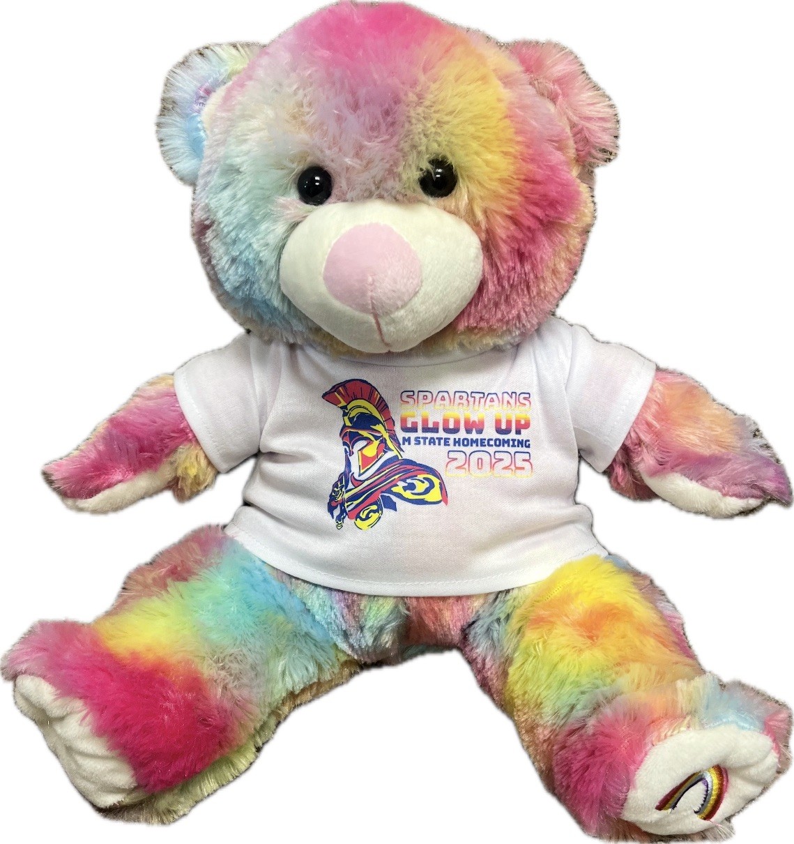 colorful teddy bear