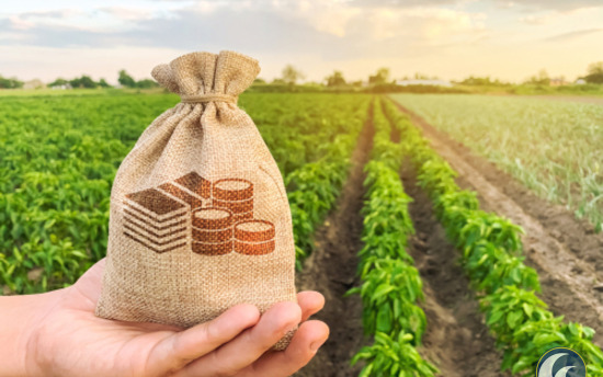 agribusiness banner image