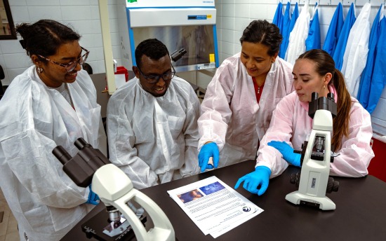Students in a Medical Laboratory Technician class in 2024-2025