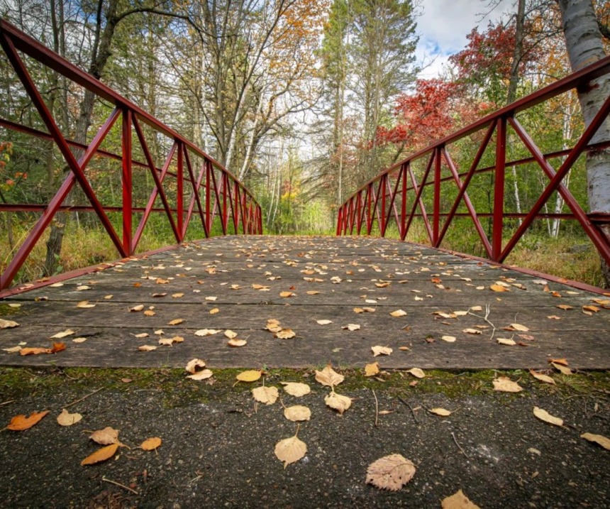 A bridge in a park in Wadena